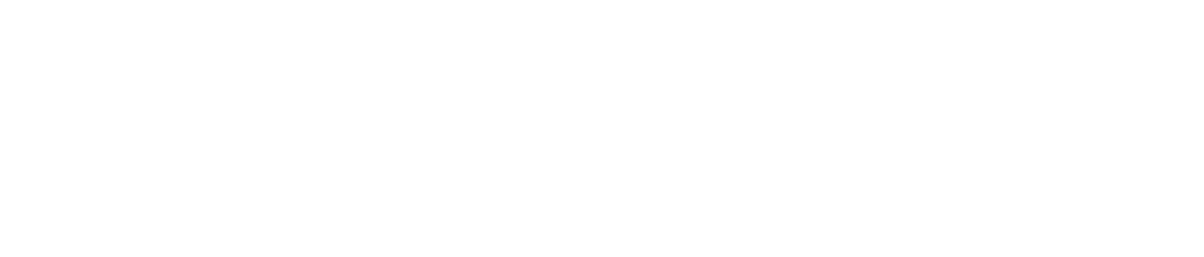 Simples SPL Logo